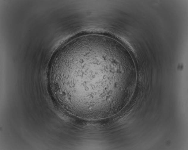 X0000091180487200708231532