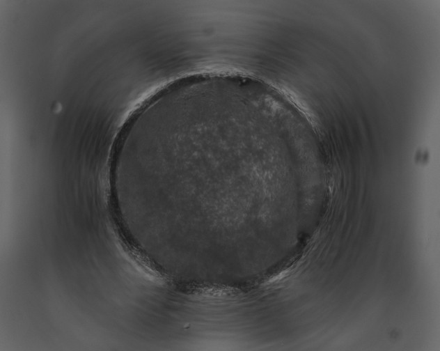 X0000091180488200708231532