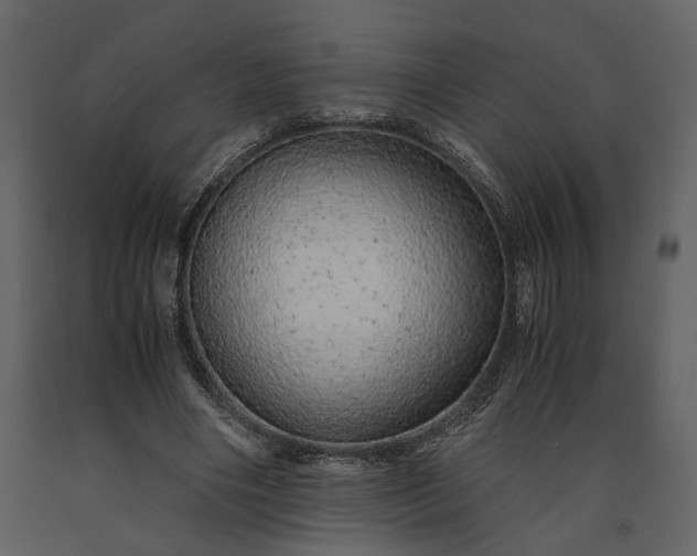 X0000091180490200708231532