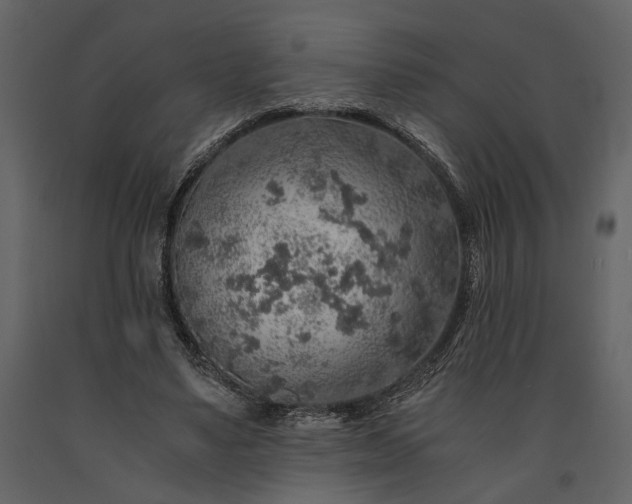 X0000091180491200708231532