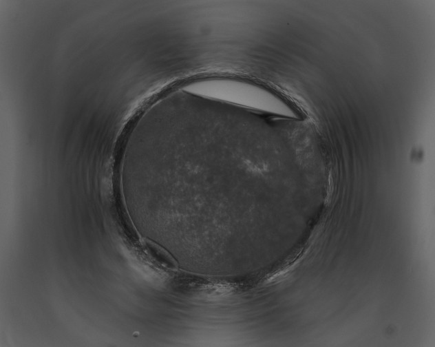 X0000091180492200708231532
