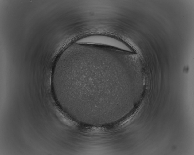 X0000091180493200708231532