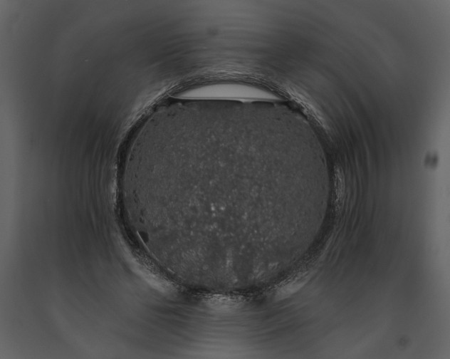 X0000091180494200708231532