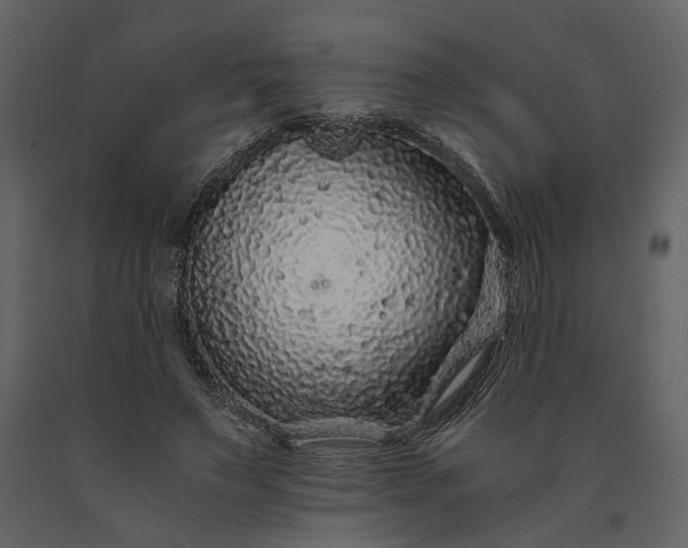 X0000091180495200708231532