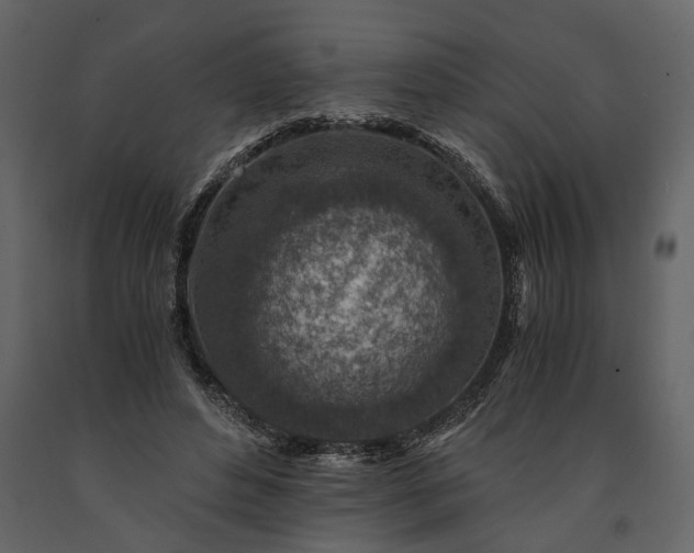 X0000091180496200708231532