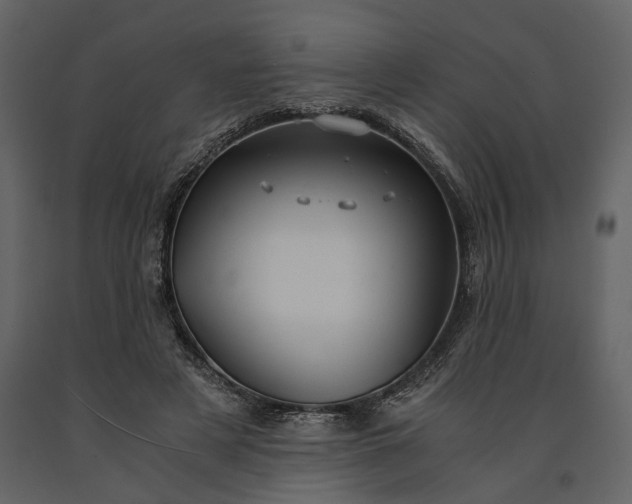 X0000091180497200708231532