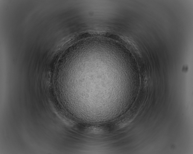 X0000091180498200708231532