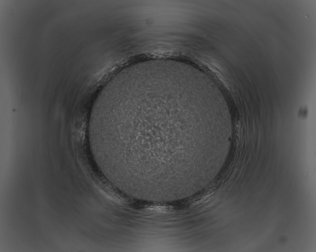 X0000091180499200708231532