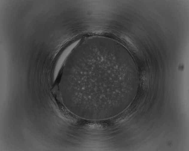 X0000091180500200708231532