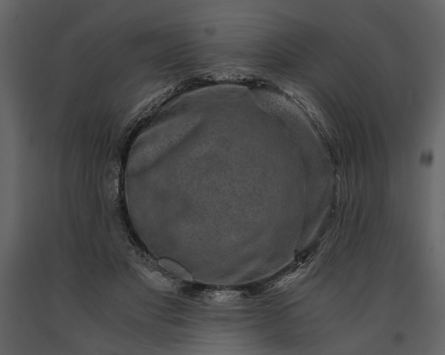 X0000091180501200708231532