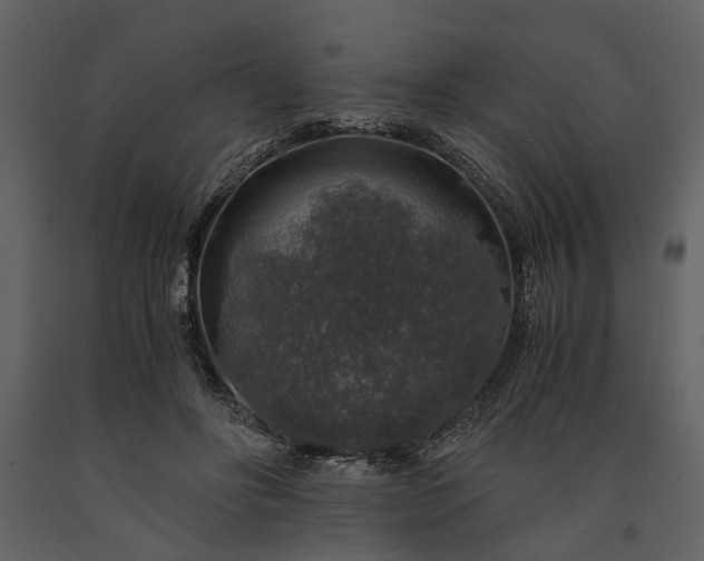 X0000091180502200708231532