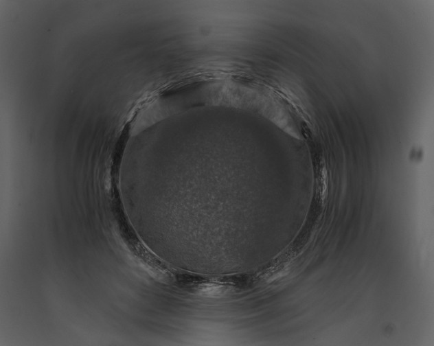 X0000091180504200708231532