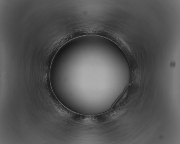 X0000091180505200708231532
