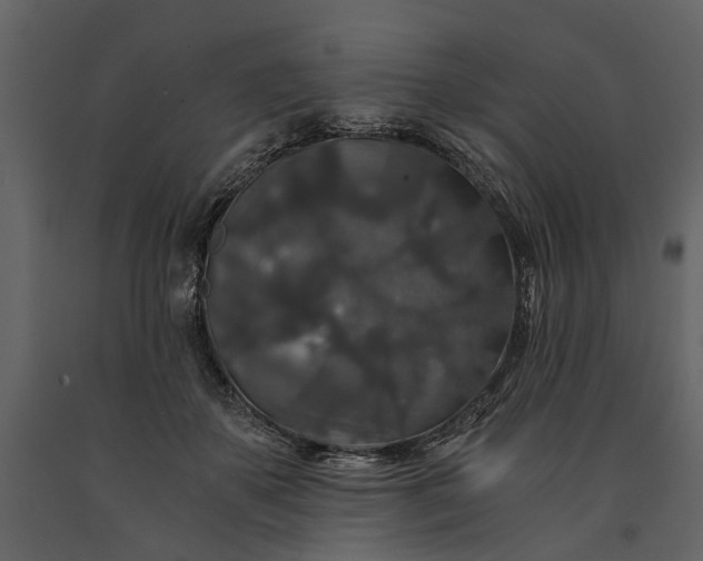 X0000091180507200708231532