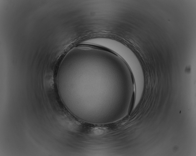 X0000091180508200708231532