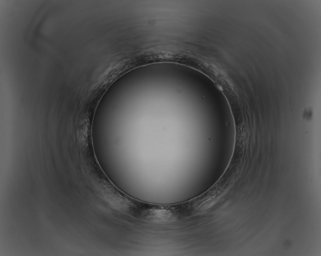 X0000091180509200708231532