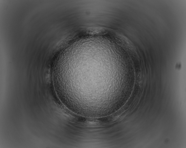 X0000091180510200708231532