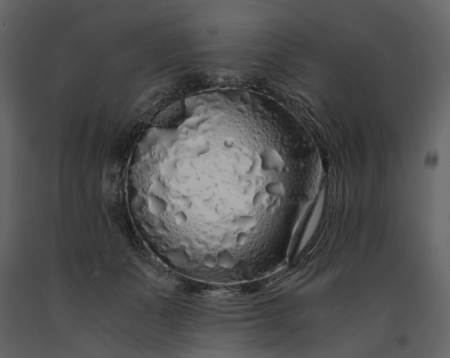 X0000091180511200708231532