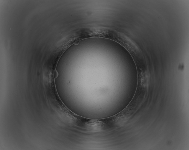 X0000091180514200708231532
