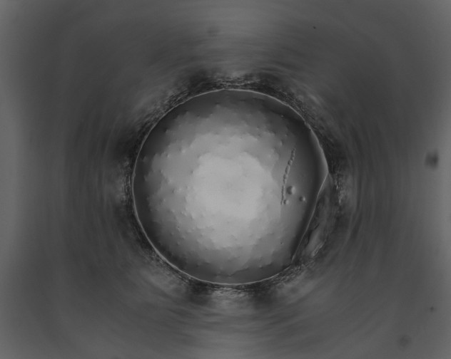 X0000091180515200708231532