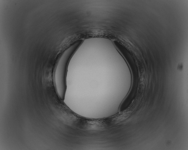 X0000091180516200708231532