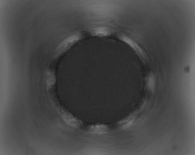 X0000091180517200708231532
