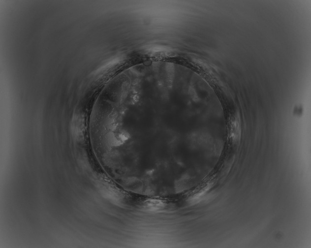 X0000091180519200708231532