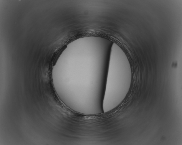X0000091180520200708231532
