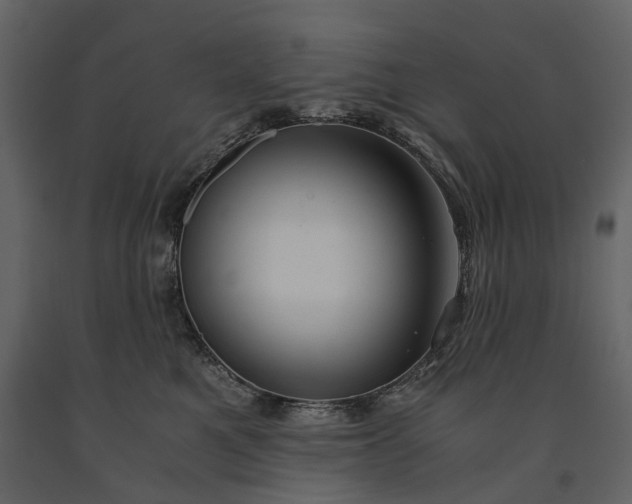 X0000091180521200708231532
