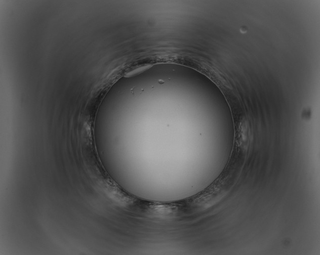 X0000091180522200708231532