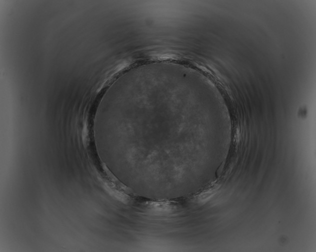 X0000091180524200708231532