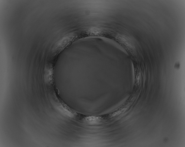 X0000091180526200708231532