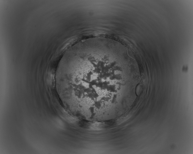 X0000091180527200708231532