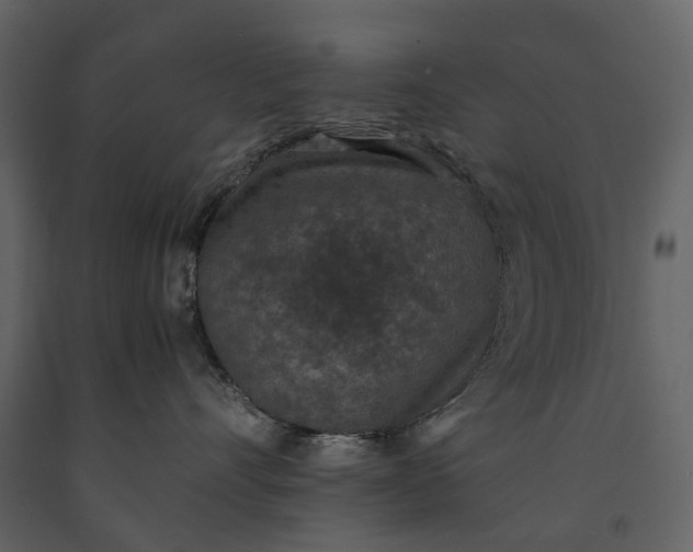 X0000091180528200708231532