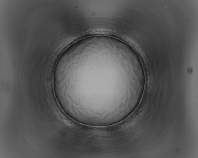 X0000091180529200708231531