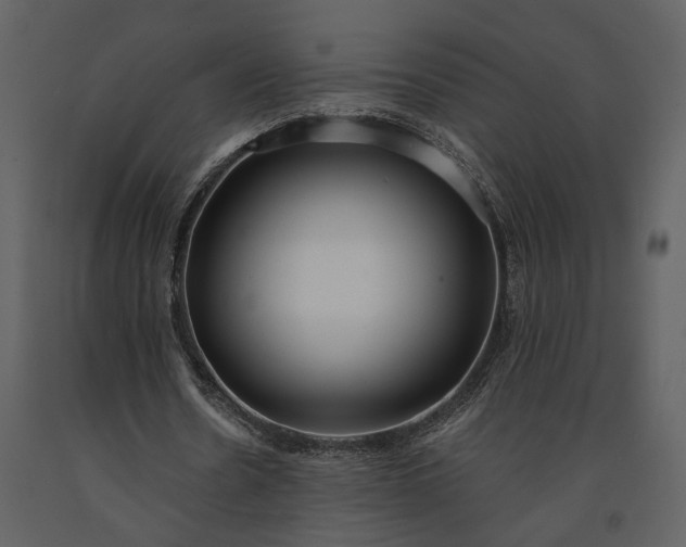 X0000091180530200708231531