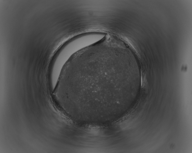 X0000091180531200708231531