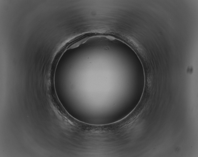 X0000091180532200708231531