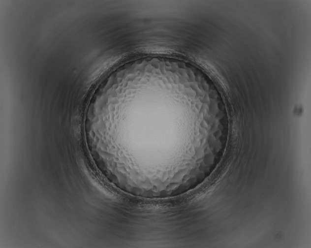 X0000091180533200708231531