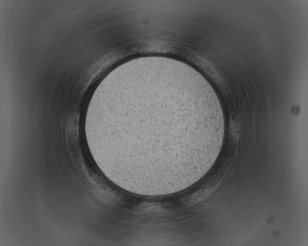 X0000091180534200708231531