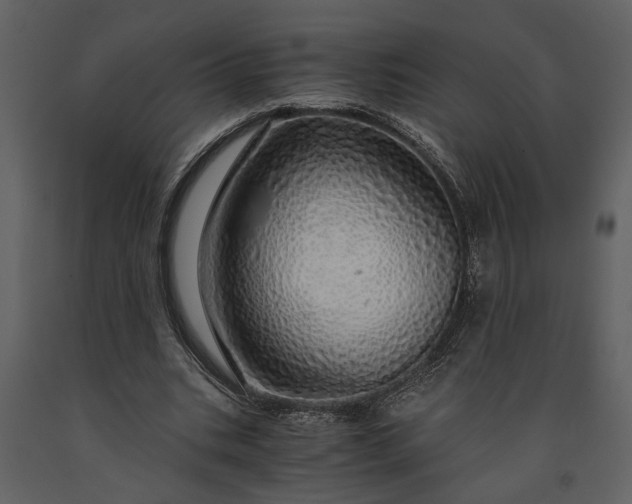 X0000091180535200708231531