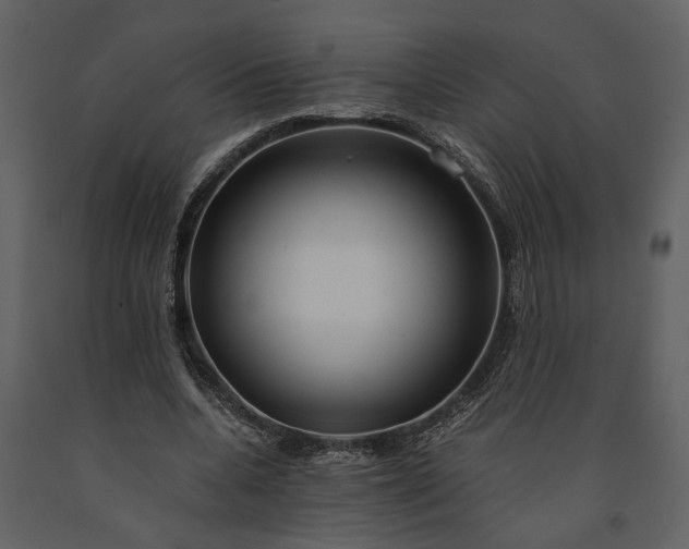 X0000091180536200708231531