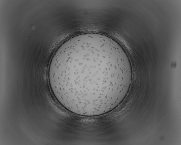 X0000091180537200708231531