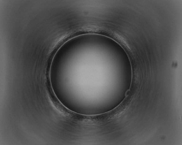 X0000091180538200708231531