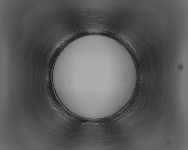 X0000091180539200708231531