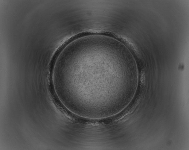 X0000091180540200708231531