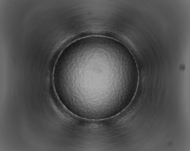 X0000091180542200708231531
