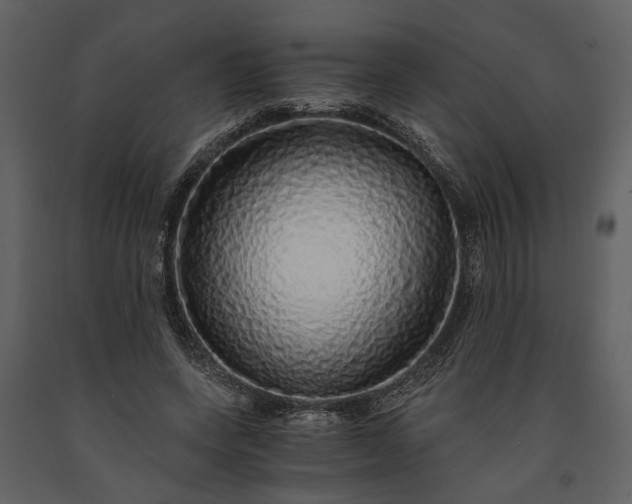 X0000091180543200708231531