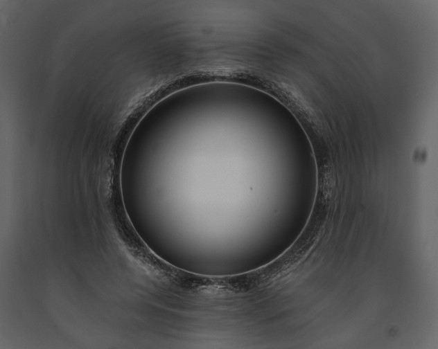 X0000091180544200708231531