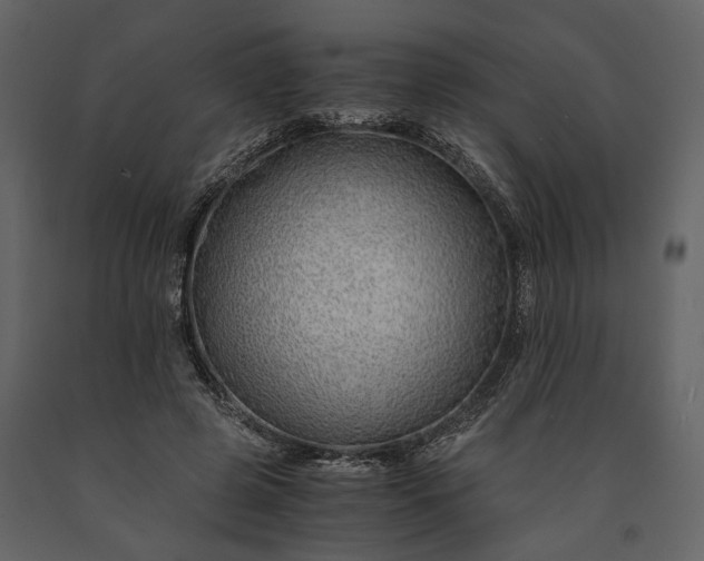 X0000091180545200708231531